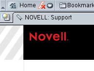 Top left of Novell.com, from Linux